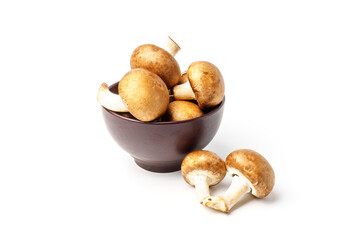 Brown plate filled with mushrooms isolated on white