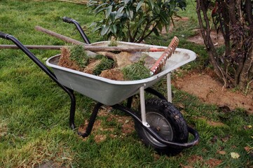 brouette de terre , plantation au jardin