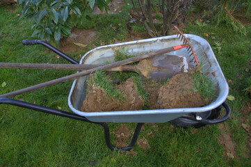 brouette de terre , plantation au jardin