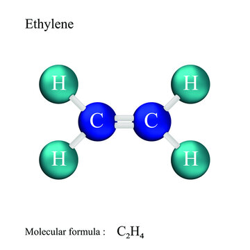 Lewis structural formula of ethylene, molecular formula