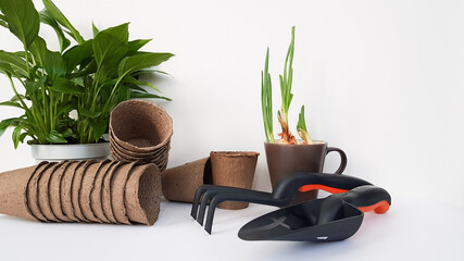 garden tool shovel and hoe on a light background. pots for seedlings and spatifilium next....