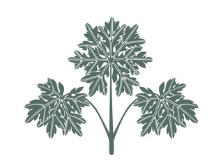 Logo lace geranium leaves. Flat design elements. Hand-drawn vector