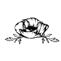 illustration, insect, animal, drawing, bug, nature, fish, isolated, beetle, white, black, vector, tattoo, design, art, leaf, flower, symbol, abstract, food, cartoon, tribal