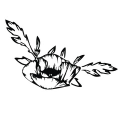flower, illustration, nature, abstract, design, tattoo, leaf, animal, art, black, symbol, plant, crab, white, isolated, floral, silhouette, logo, green, lotus, drawing, tribal, decoration, heart, cart