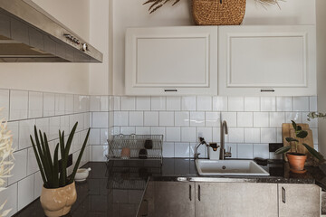 Modern scandinavian style home kitchen interior concept. Cozy comfortable boho interior design.