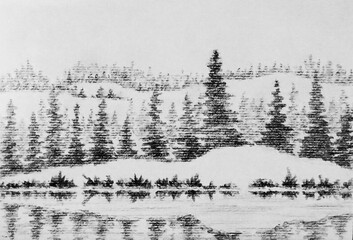 Conifers along the shores of a mountain lake. Illustration of a drawing with a graphite pencil on paper