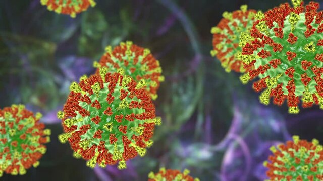 Measles virus. 3D animation showing measles viruses with surface glycoprotein spikes heamagglutinin-neuraminidase (red) and fusion protein (yellow)