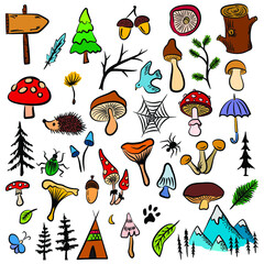 Vector color mushrooms and forest symbols on a white background. Set of vector hand-drawn, doodles mushrooms. Icons isolated on white backgroun for recipes, design menu, packages.