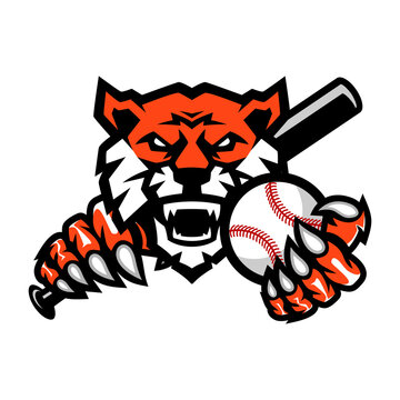 Tigers Baseball team design with head mascot Tiger holding ball and Baseball Bat . Great for team or school mascot or t-shirts and others.