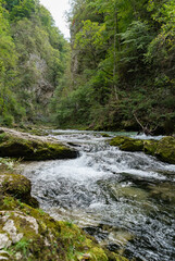 Fototapeta na wymiar Vintgar Gorge in the Julian Alps (Slovenia, Europe)