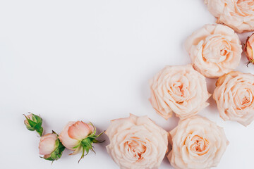 Obraz na płótnie Canvas Spring background. Rose flowers on a white background. Flat lay.