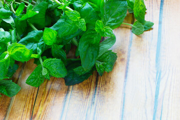 Fresh mint on wooden table copy space