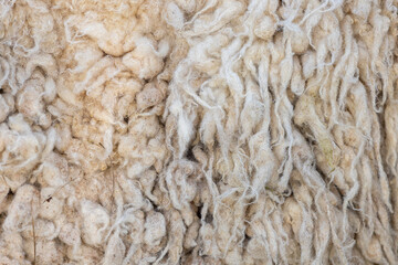 Lammwolle