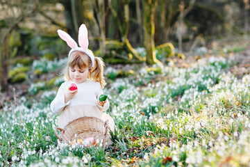 Little girl with Easter bunny ears making egg hunt in spring forest on sunny day, outdoors. Cute happy child with lots of snowdrop flowers and colored eggs. Springtime, christian holiday concept.