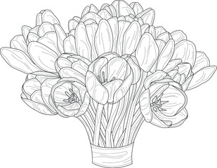Realistic spring tulip flower bouquet sketch template. Graphic vector illustration in black and white for games, background, pattern, decor. Coloring paper, page, story book. Print for fabrics 