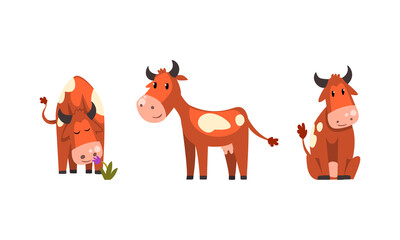 Set of Brown Spotted Cow in Various Actions, Cute Funny Farm Animal Cartoon Character Vector Illustration