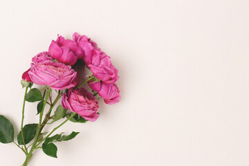 Bouquet of rose flowers on a beige background. Festive concept with copyspace. Gift for Mothers Day.