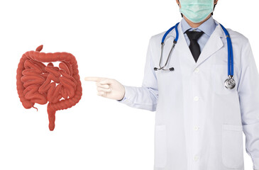 doctor point to intestine human