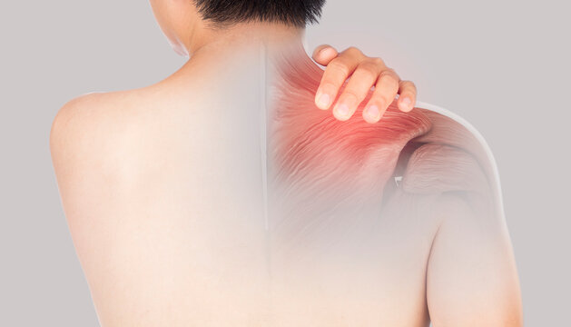 shoulder muscle pain