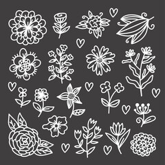 Fototapeta premium Botanical flower doodle design elements vector set