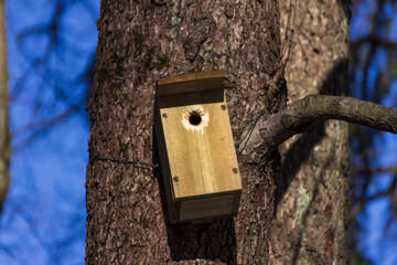 A birdhouse on a tree in spring in a park on Elagin Island in St. Petersburg.