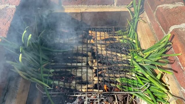 Delicious tasty roasted calcots cooking over rustic barbeque grill flames