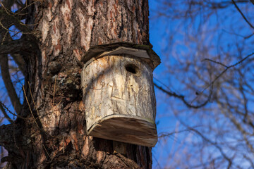 A birdhouse on a tree in spring in a park on Elagin Island in St. Petersburg.