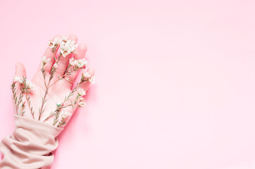 A woman's palm with a flower on a pink background. Woman and nature.