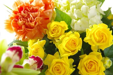 黄色いバラの花束　プレゼント　イベント