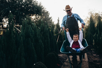 grandfather giving ride to his grandson in wheelbarrow outdoors