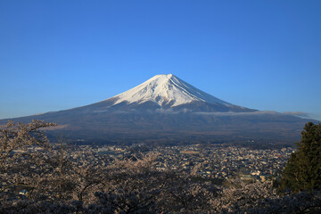 mountain in autumn