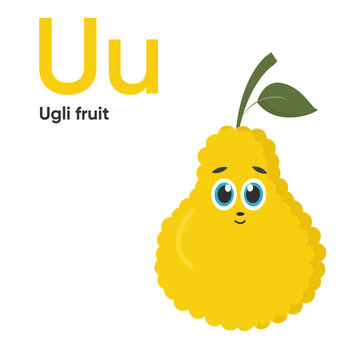 Cute Vegetables and Fruit Alphabet Series A-Z. Vector ABC. Letter Uu. Ugli fruit. Cartoon fruits and vegetables alphabet for kids. Isolated vector icons Education, baby shower children prints, decor