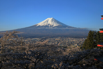 Fototapeta premium volcano teide tenerife