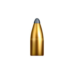 Realistic Golden Bullet Composition