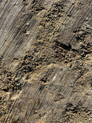 Top view of ground sandy soil background. Abstract backdrop. 