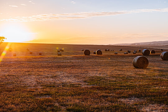 A golden sunset spreads across a farm in Waitpinga, South Australia.