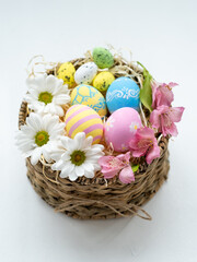 Easter holiday. Organic food composition. Traditional festive ornament. Pastel color painted farm egg set with pattern Spring white pink flowers in rustic basket isolated on white background.