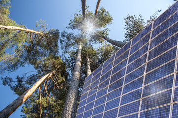 Pannello solare nel bosco