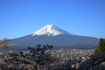 mountain in winter