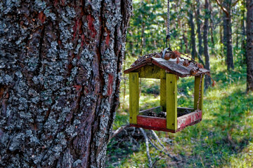 Bird feeder hanging on a rope in the woods