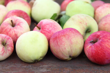 apples of green, pink and red color on an old table in the garden. autumn farm fruits