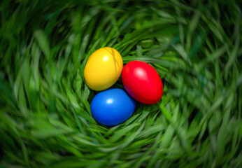Fototapeta na wymiar Colorful Easter eggs lie in the grass twisted in the form of a nest