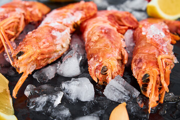 Frozen seafood. Fresh shrimps with lemon on dark background. Red raw prawns