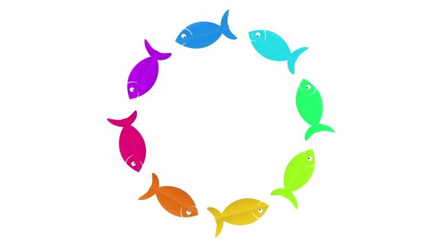 colored fish in round