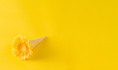 Minimal spring concept ice cream cone with yellow daisy and copy space,