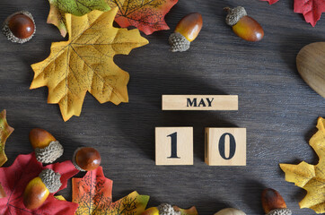 May 10, Cover Date design with Calendar cube decorate with maple leaf and Acorn Oak seed for your...