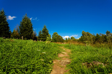Fototapeta premium Jewish cemetery in Lutowiska Bieszczady