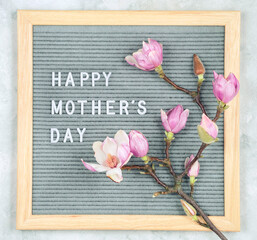 letterboard with white plastic letters with quote Happy Mother's Day, and magnolia flowers on light background © DyrElena