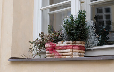 Wine cork pot with a decorative red bow. Planter with green houseplants on the windowsill outside. DIY from wine cork. Home gardening concept. Modern minimal creative home decor concept, garden room.