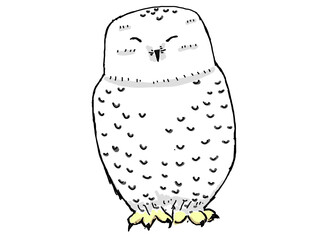 シロフクロウ（メス）